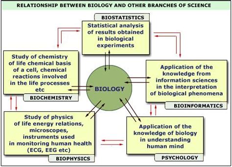 Branches Of Biology | Diagrams Of Biology