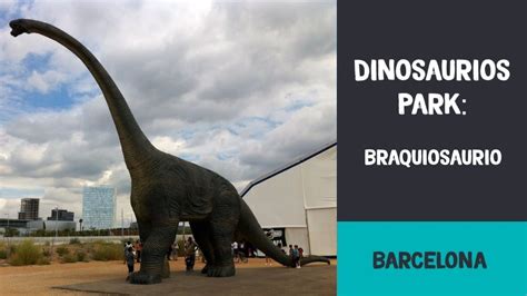Braquiosaurio | Exposición Dinosaurios Park. Barcelona ...