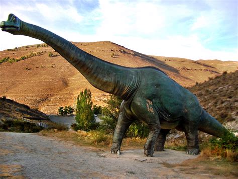 Braquiosaurio | fotos de Curiosas