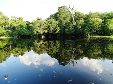 Brasilien Amazonas   Reisetipps und wie es wirklich ist ...