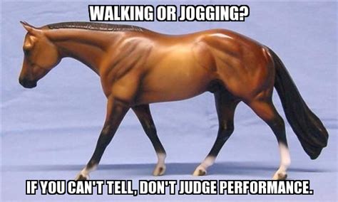 Braymere Custom Saddlery: Walking vs. jogging