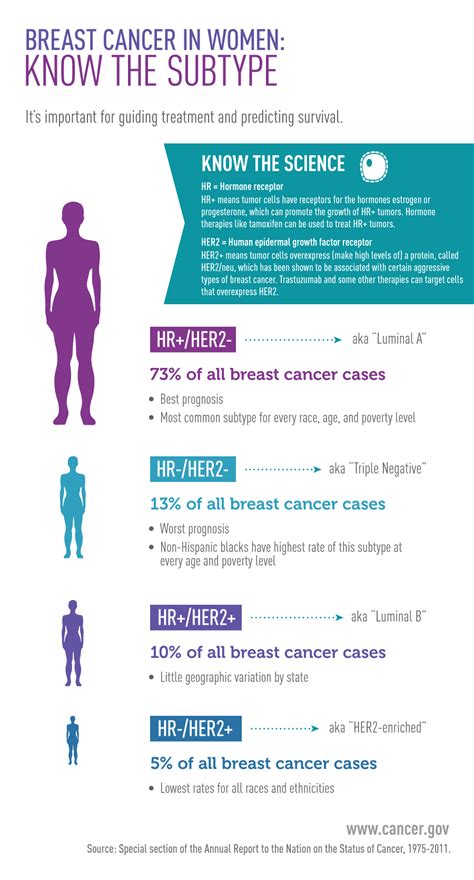 Breast Cancer In Women   National Cancer Institute