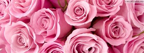 Bright Pink Roses Facebook Cover