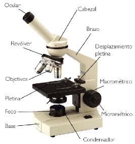 Brofrien: El Microscopio y sus Partes