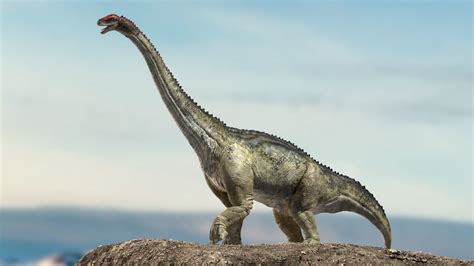 brontosaurio dinosaurio cuellilargo 6 – Todo sobre el mundo de los ...