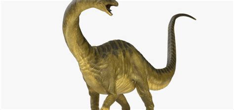 Brontosaurio el dinosaurio de cuello largo – Todo sobre el mundo de ...
