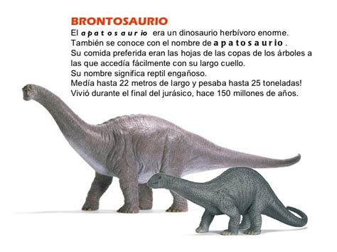 Brontosaurio   La Webquest de los Dinosaurios