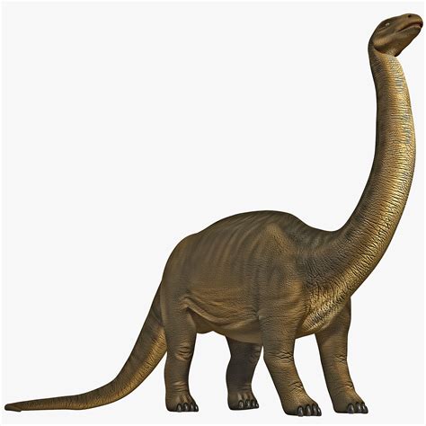 brontosaurus rigged 3d model