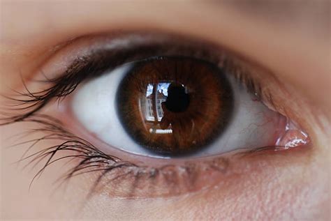Brown Eyes Stock Photos, Pictures & Royalty Free Images ...