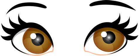 Brown Female Eyes PNG Clip Art   Best WEB Clipart