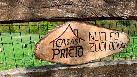 Brutal ataque de osos a un núcleo zoológico en Asturias: han matado a ...
