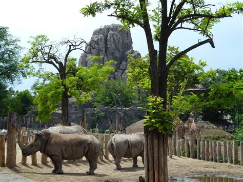 Budapest Zoo – A Great Family Adventure and Fun | Easy ...
