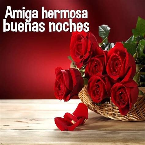 Buenas Noches   | Rosas rojas hermosas, Rosa roja, Rosas hermosas