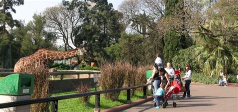 Buenos Aires Zoo | BuenosTours