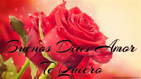 Buenos días amor con rosas | Imágenesdebuenosdias.es