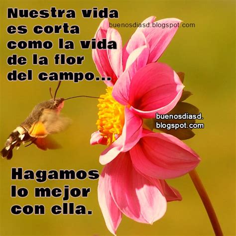 buenos dias frases bonitas la vida564 Fotos de amor ...