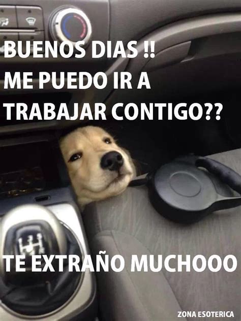 Buenos dias..... | Frases | Pinterest | Memes, Humor and Dog