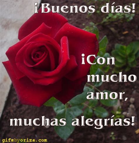 Buenos Días imágenes con rosas   BonitasImagenes.net
