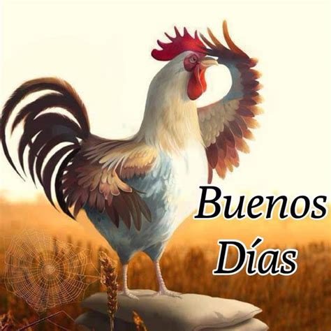 buenos dias on Pinterest | Domingo, Buen Dia and Frases