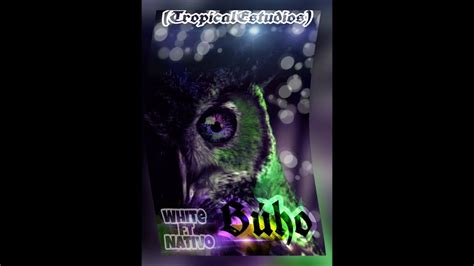 BÚHO   NATIVO   FT   WHITE    TropicalEstudios . mp3   YouTube