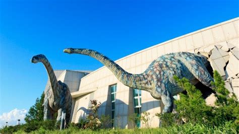 Buscan devolver la vida a los dinosaurios | History Channel