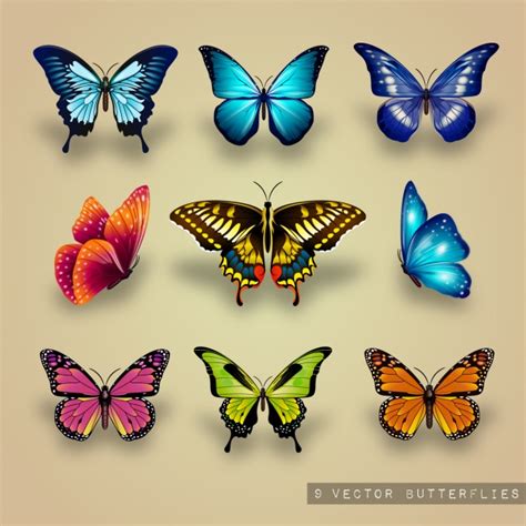 Butterfly Vectors, Photos and PSD files | Free Download