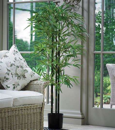 Buy 5  Artificial Potted Bamboo Tree Online at Bloom | Artificial ...