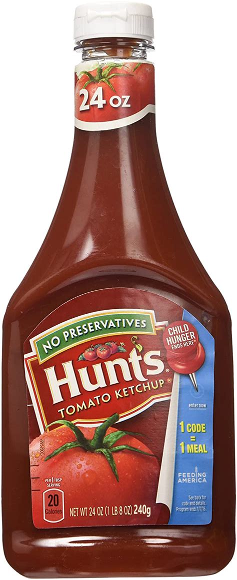 Buy Hunt s Tomato Ketchup  No Preservatives  240g in ...