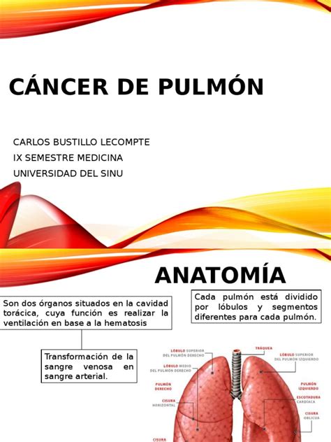 CA de Pulmón | Cáncer de pulmón | Metástasis