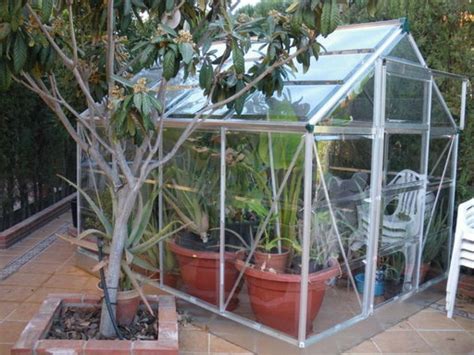 CÃ³mo montar un invernadero en casa para mantener nuestras plantas todo ...