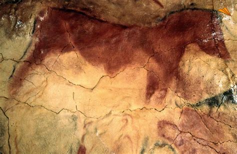 caballo ,pintado cueva de altamira ,españa. | Cueva de altamira ...