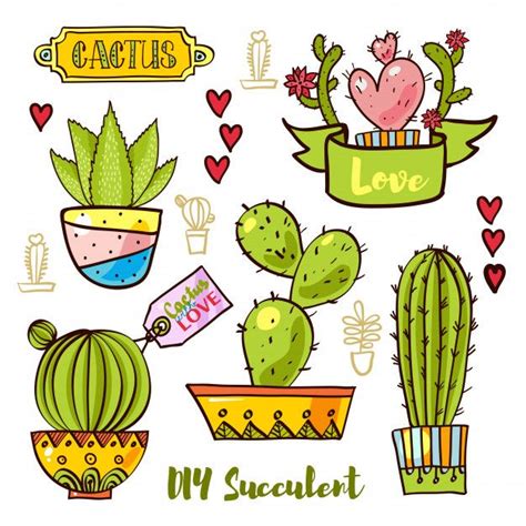 Cactus y suculentas en macetas. | Cactus y suculentas ...