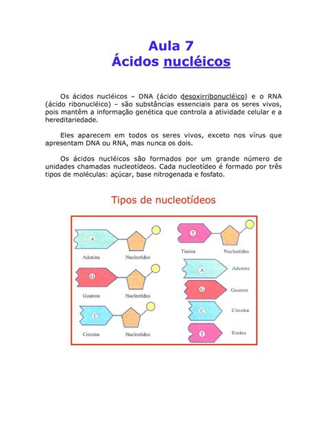 Calaméo   Biologia   Aula 07   Ácidos Nucléicos