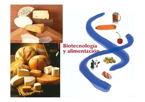 Calaméo   Biotecnologia aplicada a la industria alimentaria