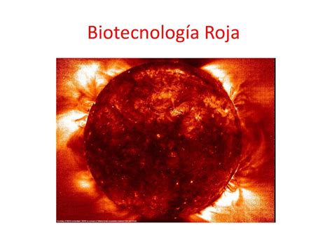 Calaméo   Biotecnología Roja