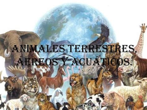 Calaméo   CARTILLA SOBRE LOS ANIMALES TERRESTRES, AÉREOS Y ACUÁTICOS