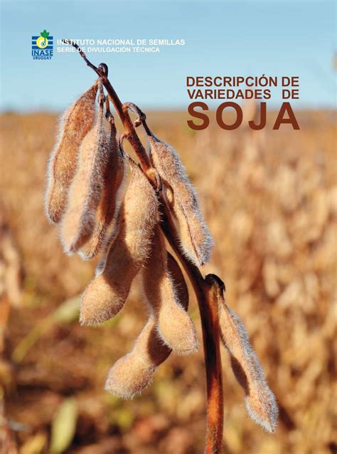 Calaméo   Descripción de variedades de Soja