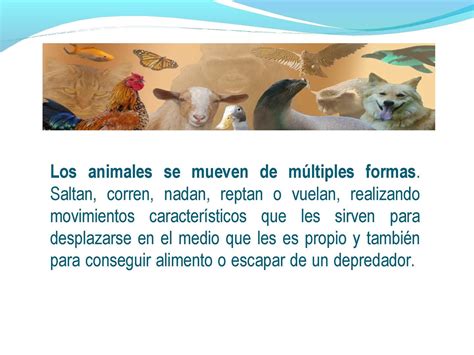 Calaméo   FORMA DE DESPLAZAMIENTO DE LOS ANIMALES