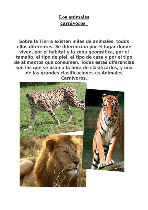 Calaméo   los animales carnívoros