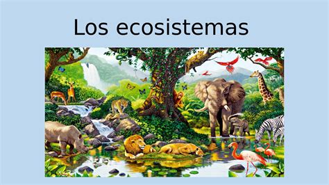 Calaméo   Los Ecosistemas 2