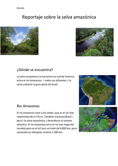 Calaméo   Reportaje sobre la selva amazónica, por Mustafà