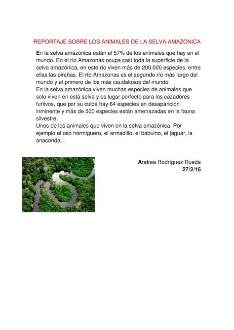 Calaméo   Reportaje Sobre Los Animales De La Selva Amazonica