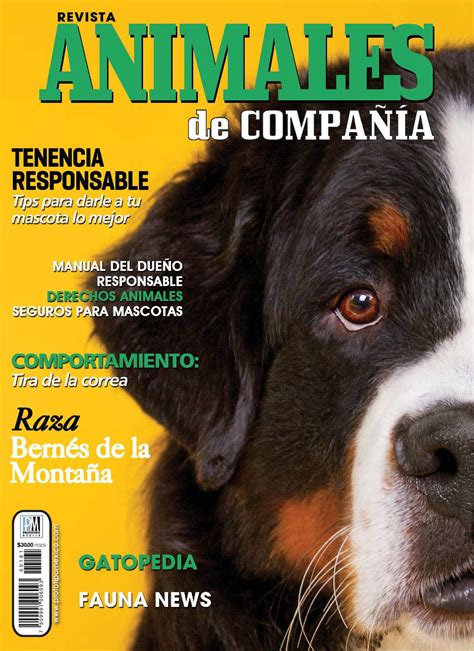 Calaméo   Revista Animales de Compañía 161 Agosto 2015