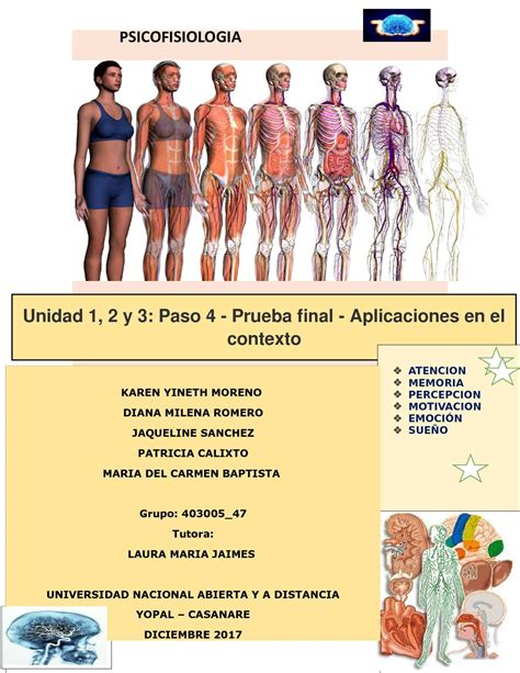 Calaméo   Revista De Los Procesos Fisiologicos