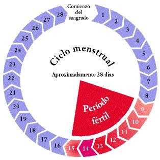 Calculadora de ovulación y días fértiles para el embarazo