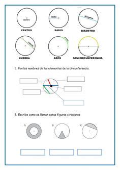 Cálculo de longitud y áreas de circunferencias | Perimetro de circulo ...