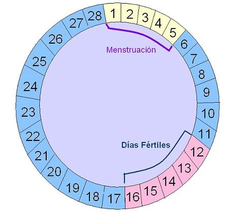 Calendario Dias Fertiles Regular | calendario mar 2021