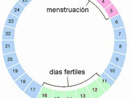 Calendario ovulación embarazo   Salud y Bienestar   Taringa!