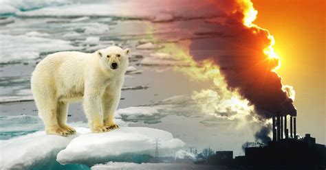 Calentamiento global: causas, consecuencias y ...