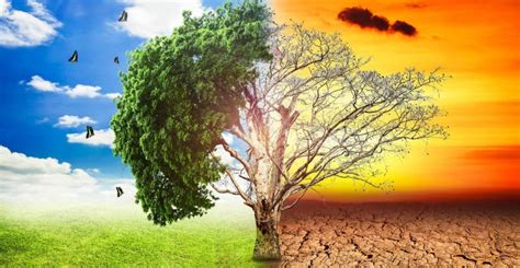 Calentamiento Global   Concepto, causas y consecuencias